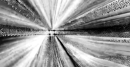 The $66,000 Ceiling: Bitcoin's Volume Divergence Meets Whale Conviction