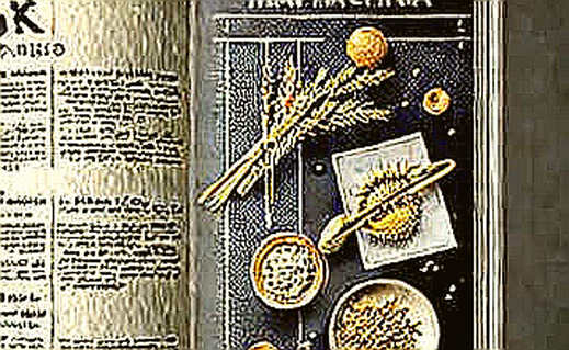 Messi’s Record Breaks Argentina Fan Token – But This Is a Sell Signal, Not a Buy