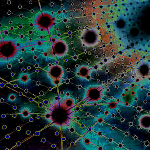 The AI Token Correction: A Macro Liquidity Signal or a Sector-Specific Reset?