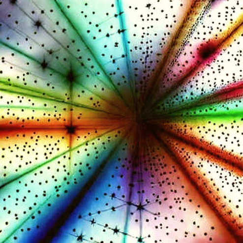$9B Vault, Zero Transparency: The DeFi Centralization Trap You Can't Ignore $9B Vault, Zero Transparency: The DeFi Centralization Trap You Can't Ignore