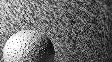 The Oracle Hearing: When Code Fails, Who Audits the Silence?
