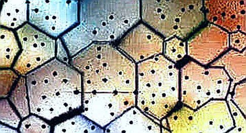 AI Protein Design Hype Hits Crypto: Anthropic's 27% Claim Under Scrutiny
