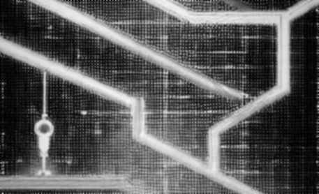 The Quantum Shadow: StarkWare Just Moved Bitcoin's Goalposts—But Did Anyone Notice?