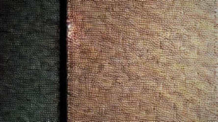 Lighter's $68M TVL: A Macro Trap in RWA Clothing Lighter's $68M TVL: A Macro Trap in RWA Clothing