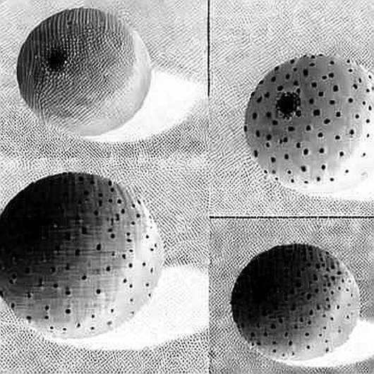 Tenev’s Tokenized Stock Push: A Data Detective’s Dissection of the Missing On-Chain Evidence