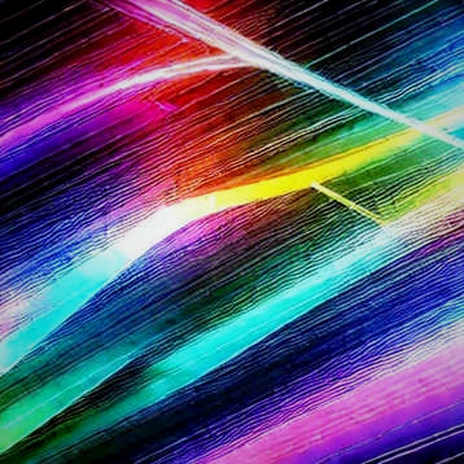 Robinhood's L2: The Token That Isn't Coming