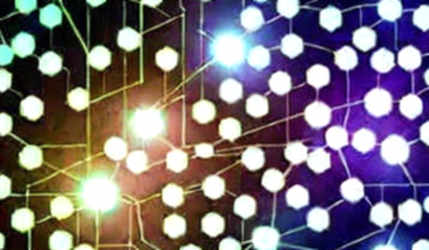 The Null Report: When Missing Data Is the Loudest Signal