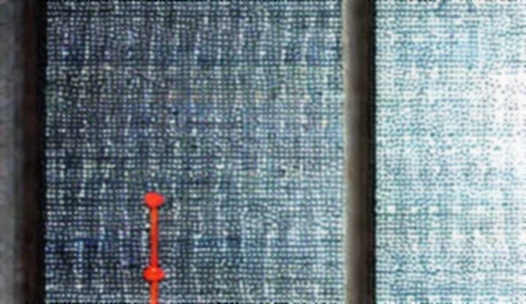 The Null Report: When Missing Data Is the Loudest Signal