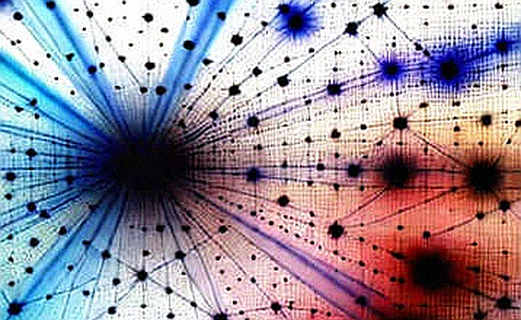 The Grok Signal: Why Tesla's AI Move Isn't Just a Feature, It's a Narrative Shift