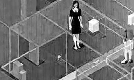 The Empty Audit: When Crypto Analysis Returns N/A The Empty Audit: When Crypto Analysis Returns N/A